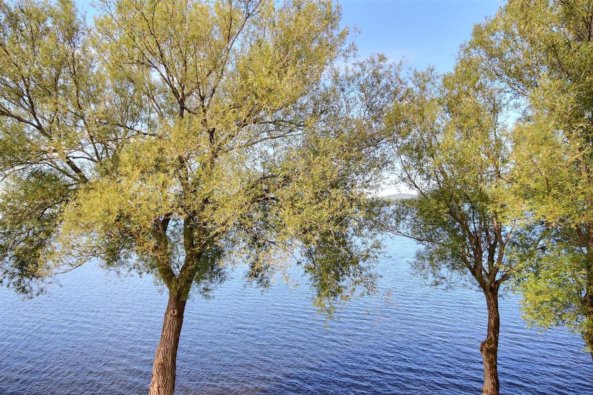 Location Tourisme Estrie - Oberge Du Village Magog Esterno foto
